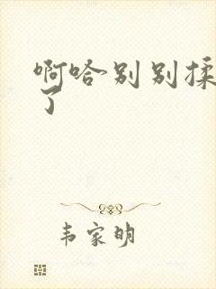 啊哈别别揉那处了