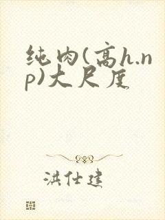 纯肉(高h.np)大尺度