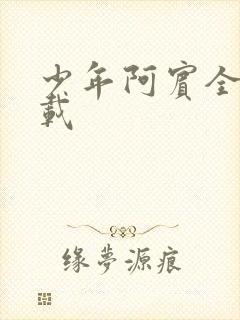 少年阿宾全集下载封面