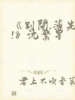 《别闹,薄先生!》沈繁星