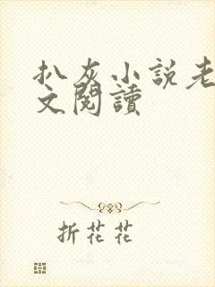 扒灰小说老马全文阅读封面