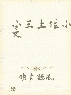 小三上位小说全文