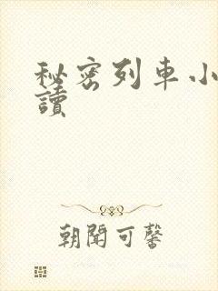 秘密列车小说阅读