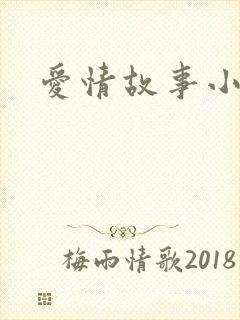 爱情故事小说