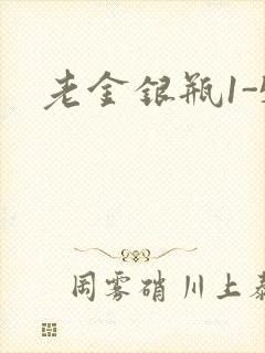 老金银瓶1-5
