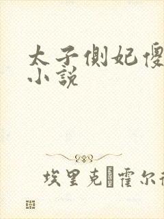 太子侧妃傻乎乎小说