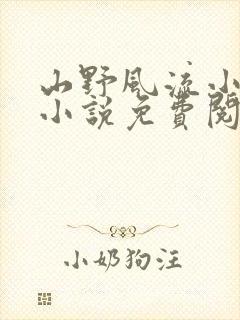 山野风流小神医小说免费阅读