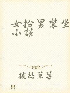 女扮男装坐江山小说