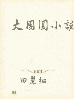 大团圆小说