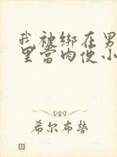 我被绑在男公厕里当肉便小说