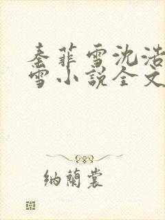 秦菲雪沈浩秦菲雪小说全文免费阅读求书