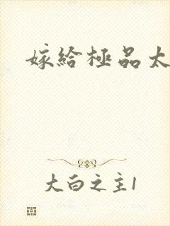 嫁给极品太子封面