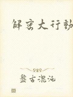 解密大行动封面