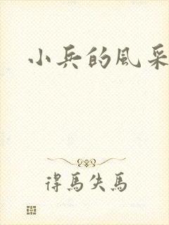 小兵的风采封面