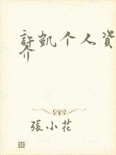 许凯个人资料简介封面