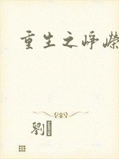 重生之峥嵘封面