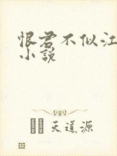 恨君不似江楼月小说