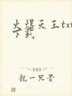 火爆天王txt下载封面