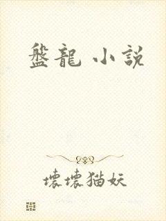 盘龙 小说