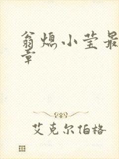 翁熄小莹最新节章封面