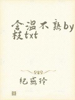 含温不熟by词枝txt
