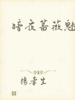 暗夜蔷薇魅封面