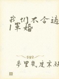 我们不合适1v1军婚