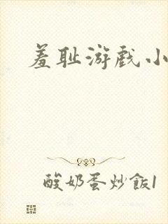 羞耻游戏小说封面