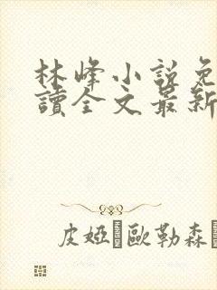 林峰小说免费阅读全文最新章节封面