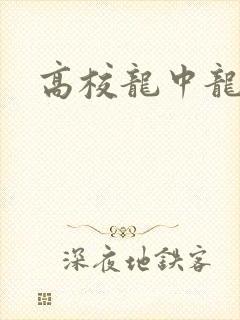 高校龙中龙