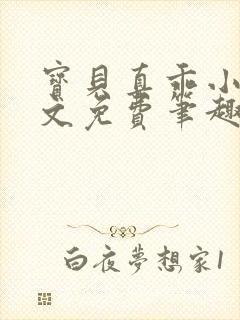 宝贝真乖小说全文免费笔趣阁封面