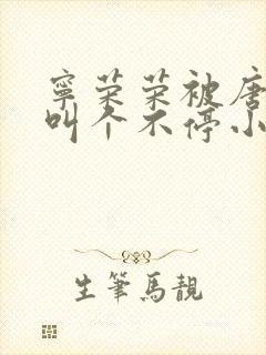 宁荣荣被唐三桶叫个不停小说