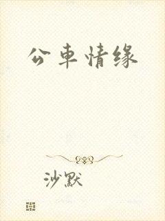 公车情缘