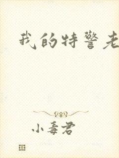 我的特警老婆