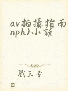 av拍摄指南(nph)小说