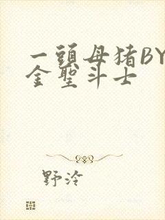 一头母猪BY黄金圣斗士