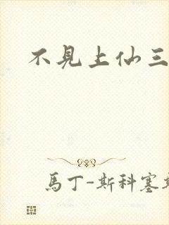 不见上仙三百年封面