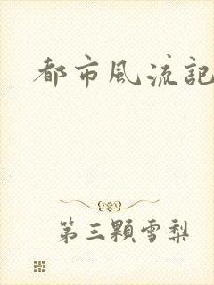 都市风流记封面