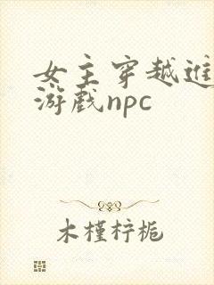 女主穿越进18游戏npc