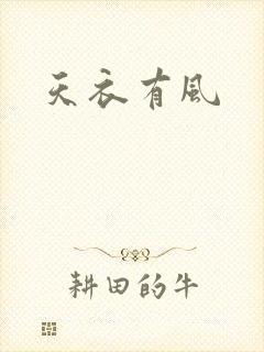 天衣有风封面