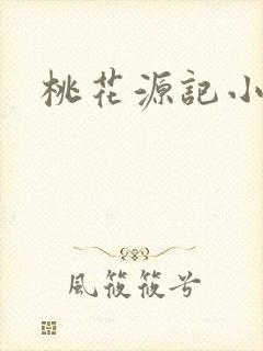 桃花源记小说封面