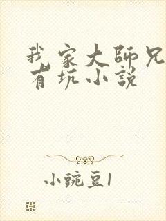 我家大师兄脑子有坑小说封面