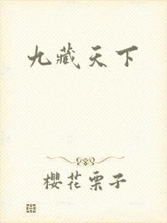 九藏天下