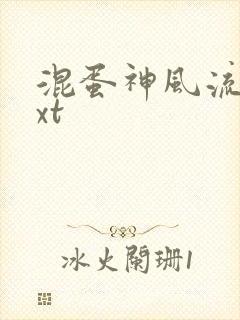 混蛋神风流史txt封面