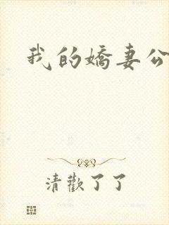 我的娇妻公务员