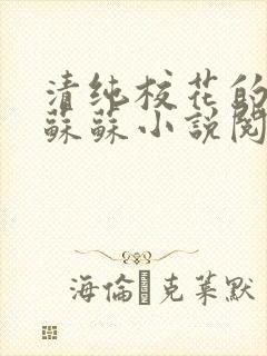 清纯校花的日常苏苏小说阅读全文封面