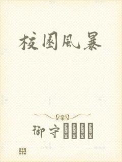 校园风暴封面