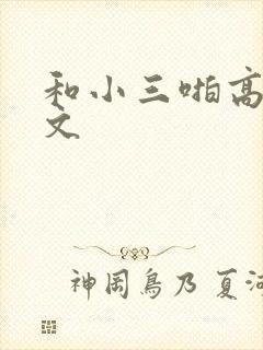 和小三啪高辣h文