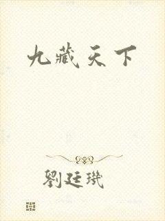 九藏天下