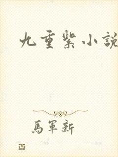 九重紫小说封面